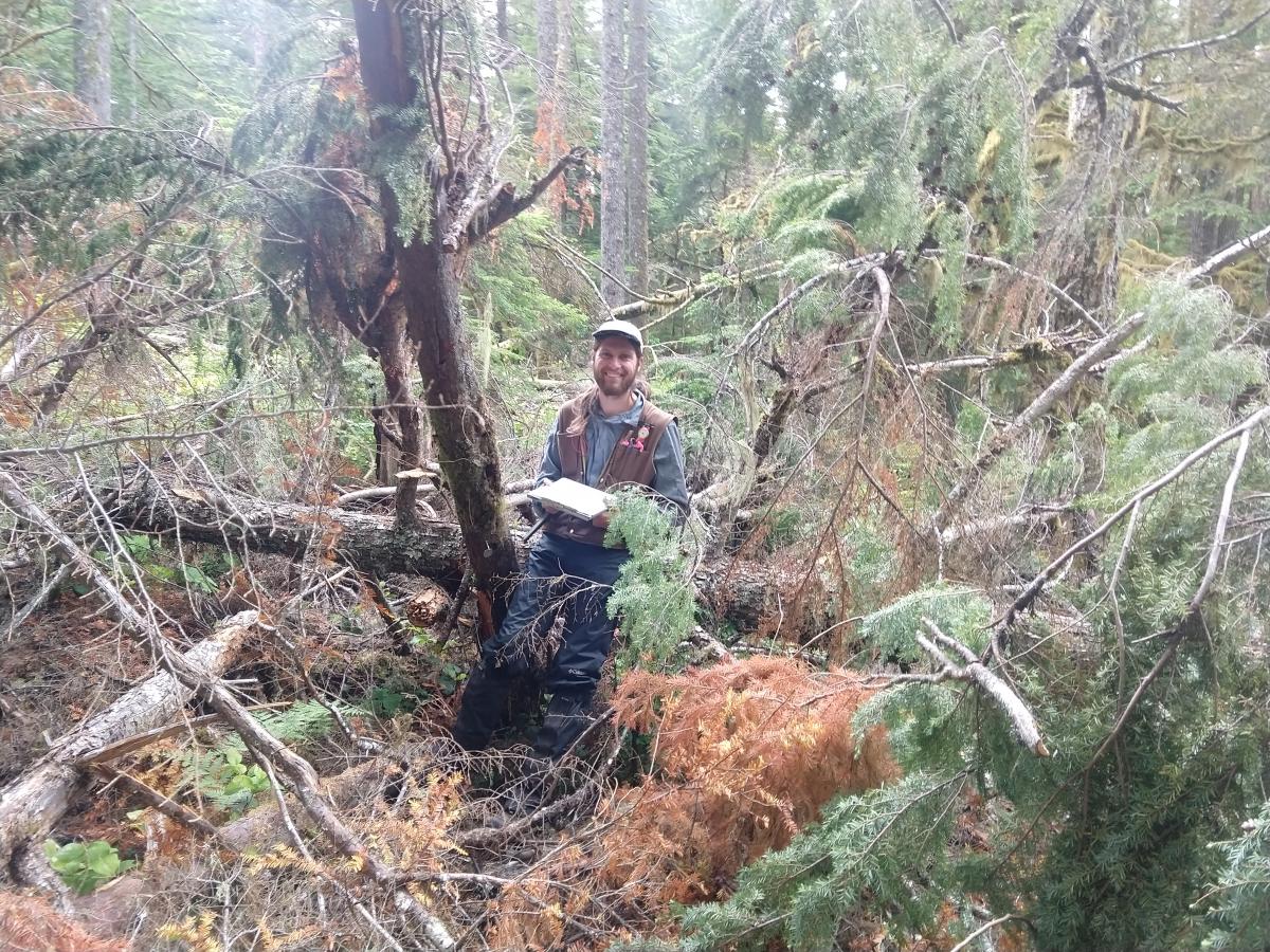 A man stands in the forest with a clipboard, surrounded by dense undestory.