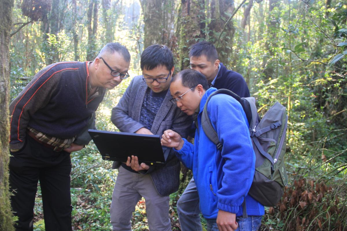 Four men work in a lush forest and look at a laptop together.