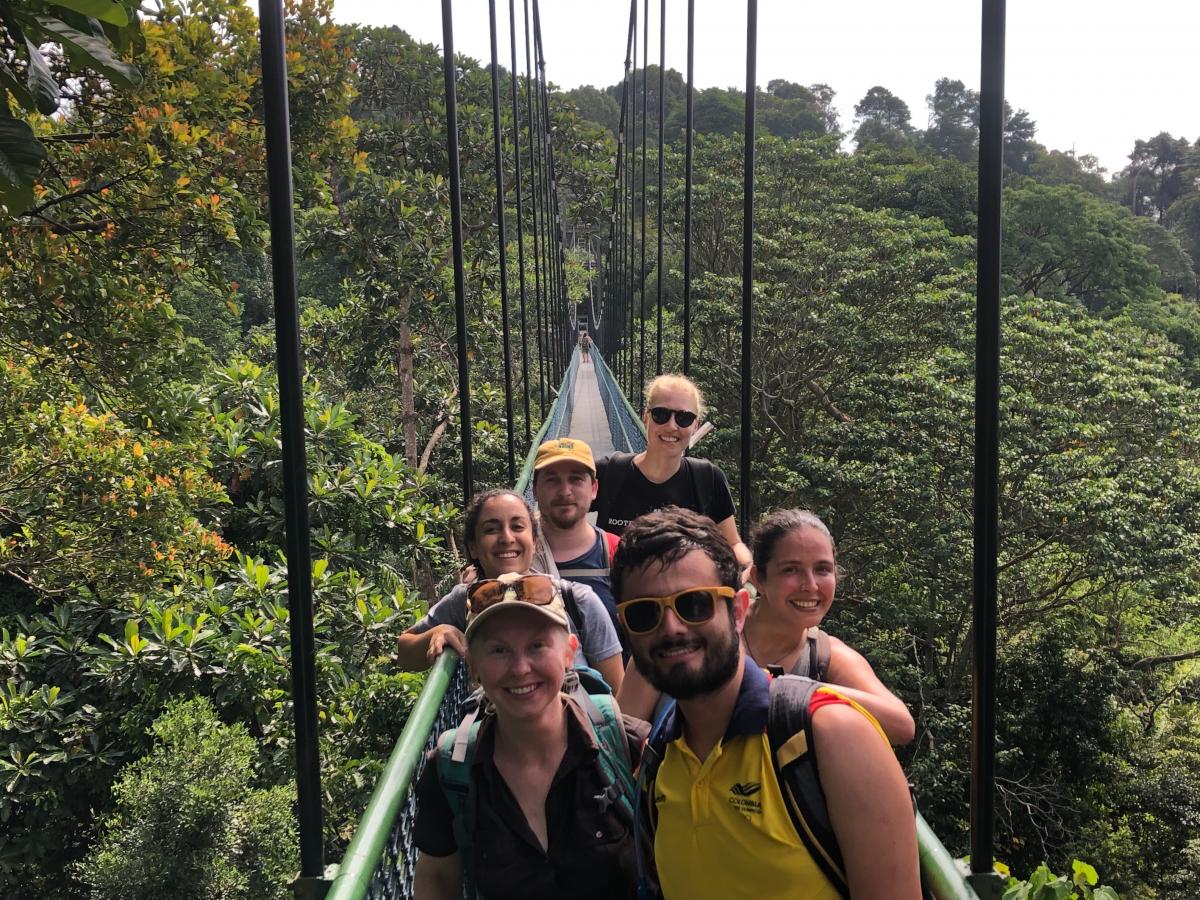 Group photo on a canopy bridge above forest.