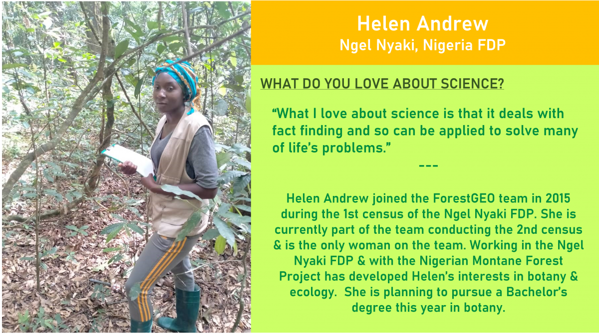 On top: Helen Andrew of Ngel Nyaki, Nigeria FDP.  On left, photo of Helen in the forest with lianas and leaf litter in the background.  On the right, “What do you love about science?” followed by “What I love about science is that it deals with fact finding and so can be applied to solve many of life’s problems.” Below this quote, an informational note: “Helen Andrew joined the ForestGEO team in 2015 during the 1st census of the Ngel Nyaki FDP. She is currently part of the team conducting the 2nd census & is the only woman on the team. Working in the Ngel Nyaki FDP & with the Nigerian Montane Forest Project has developed Helen’s interests in botany & ecology.  She is planning to pursue a Bachelor’s degree this year in botany.”