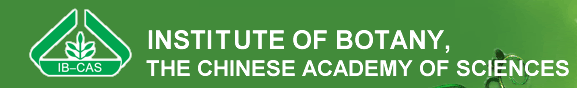 Logo for Institute of Botany, Chinese Academy of Sciences