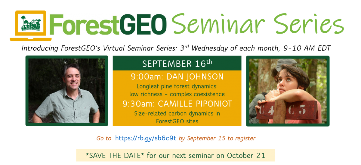 ForestGEO Seminar Series advertisement: ForestGEO's Virtual Seminar Series occurs on the 3rd Wednesday of each month, 9-10 AM EDT.  September 16th: 9:00 AM, Dan Johnson: Longleaf pine forest dynamics: low richness-complex coexistence.  9:30 AM, Camille Piponiot: Size-related carbon dynamics in ForestGEO sites  Go to  https://rb.gy/sb6c9t by September 15th to register.  SAVE THE DATE for our next seminar on October 21.