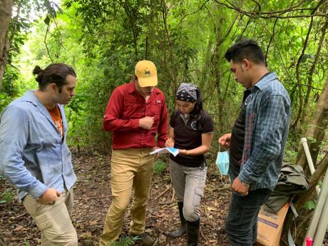 Field crew stands together in the forest referring to data on a clipboard.