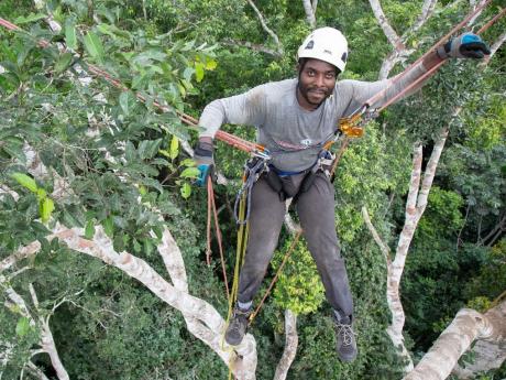 Moses Libalah in climbing gear above the tree canopy.