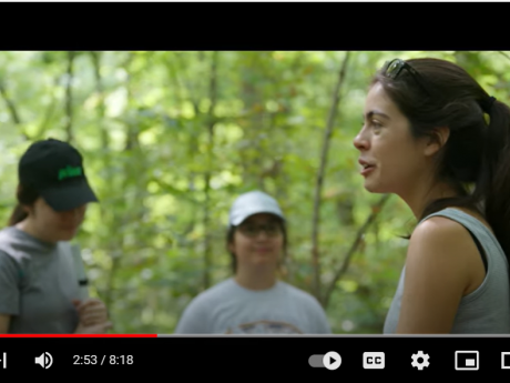 Screenshot of a paused video portraying three people working in a temperate forest.