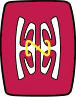 Papua New Guinea University of Technology's logo